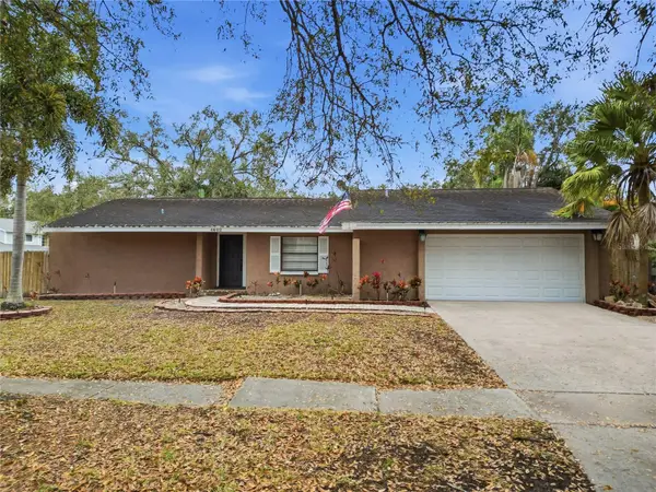 4602 Buckeye Road, TAMPA, FL 33624