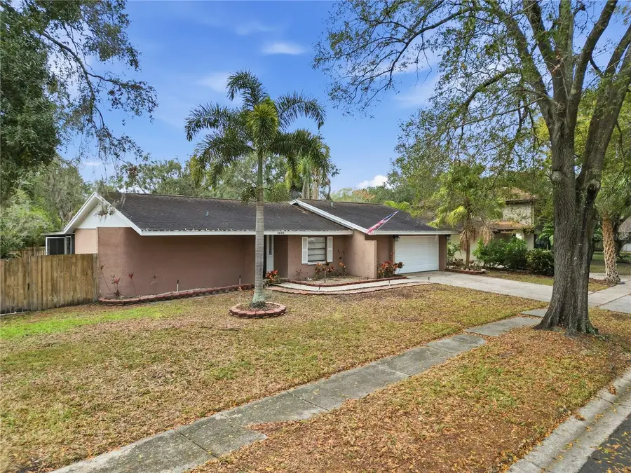 4602 Buckeye Road, Tampa, FL 33624 - Image #3