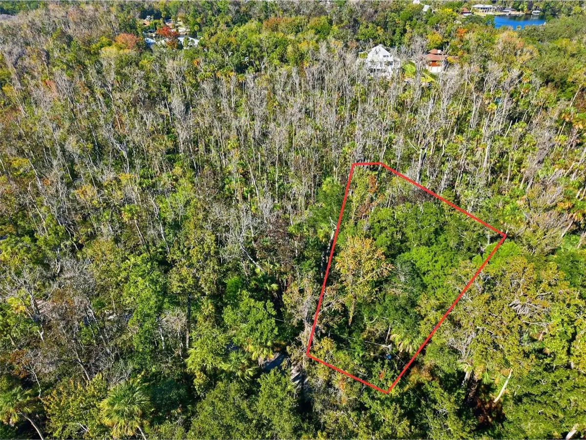 4465 S Lewoods Drive, Homosassa, FL 34448 - #1