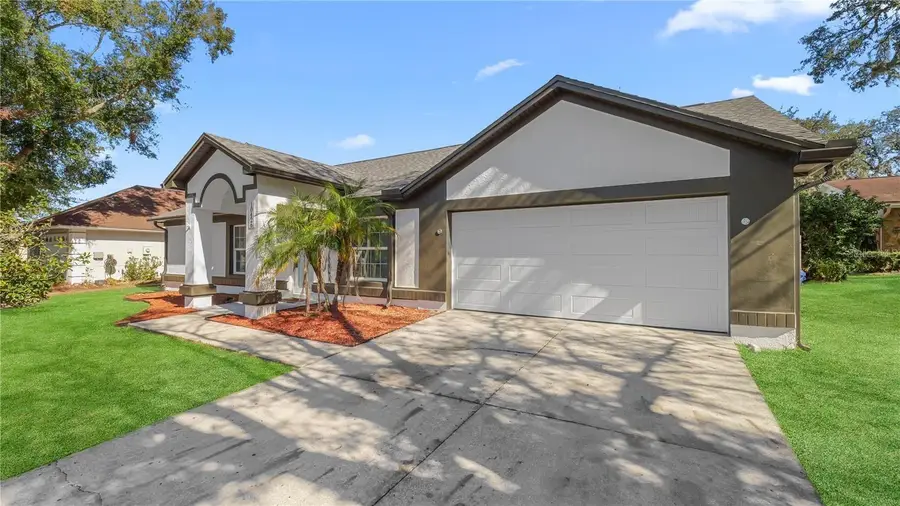 10426 Deepbrook Drive, Riverview, FL 33569 - Image #2
