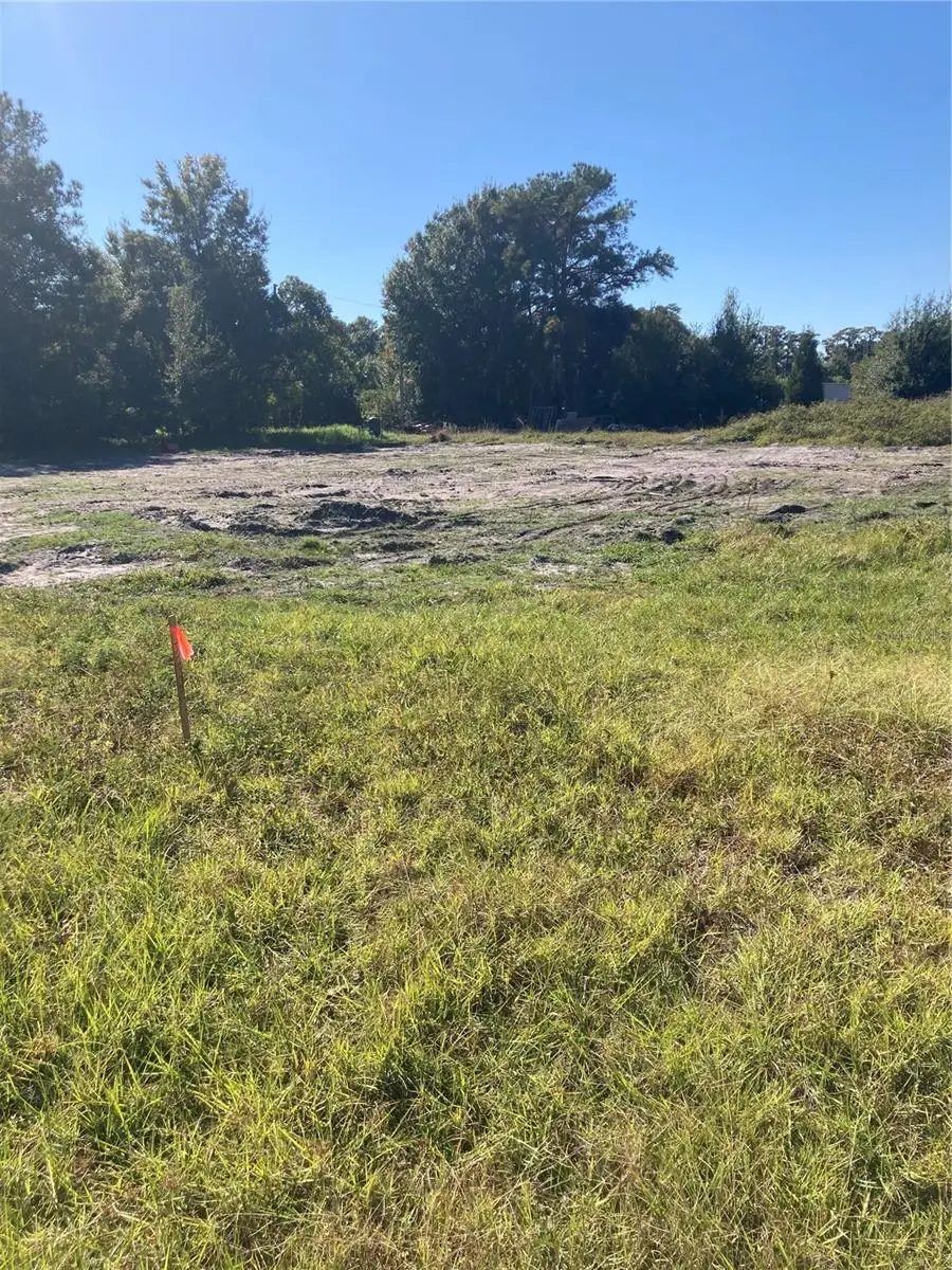 6277 Tower Road, Land O Lakes, FL 34638 - #2