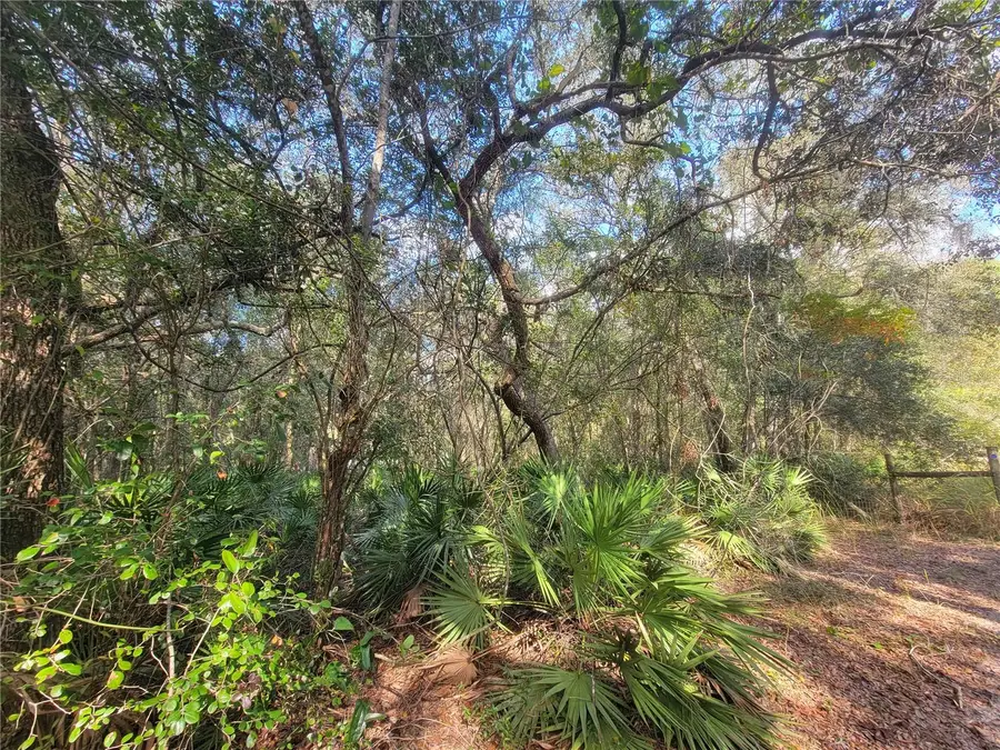 Watt Street, Webster, FL 33597 - Image #2