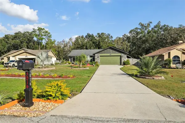 5016 Swallow Drive, LAND O LAKES, FL 34639