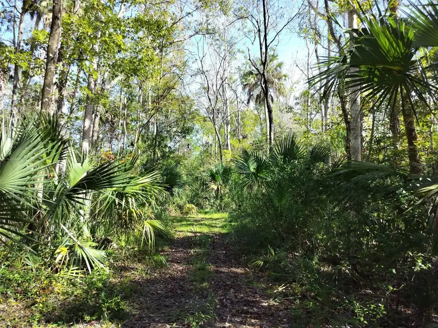 10008 W Pennsylvania Street, Homosassa, FL 34448 - #2