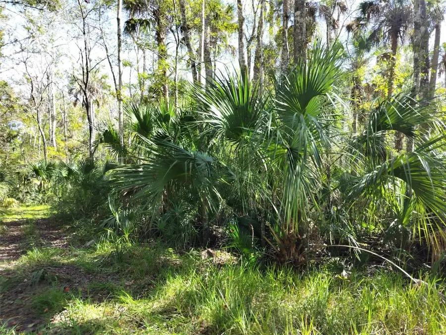 10008 W Pennsylvania Street, Homosassa, FL 34448 - #3