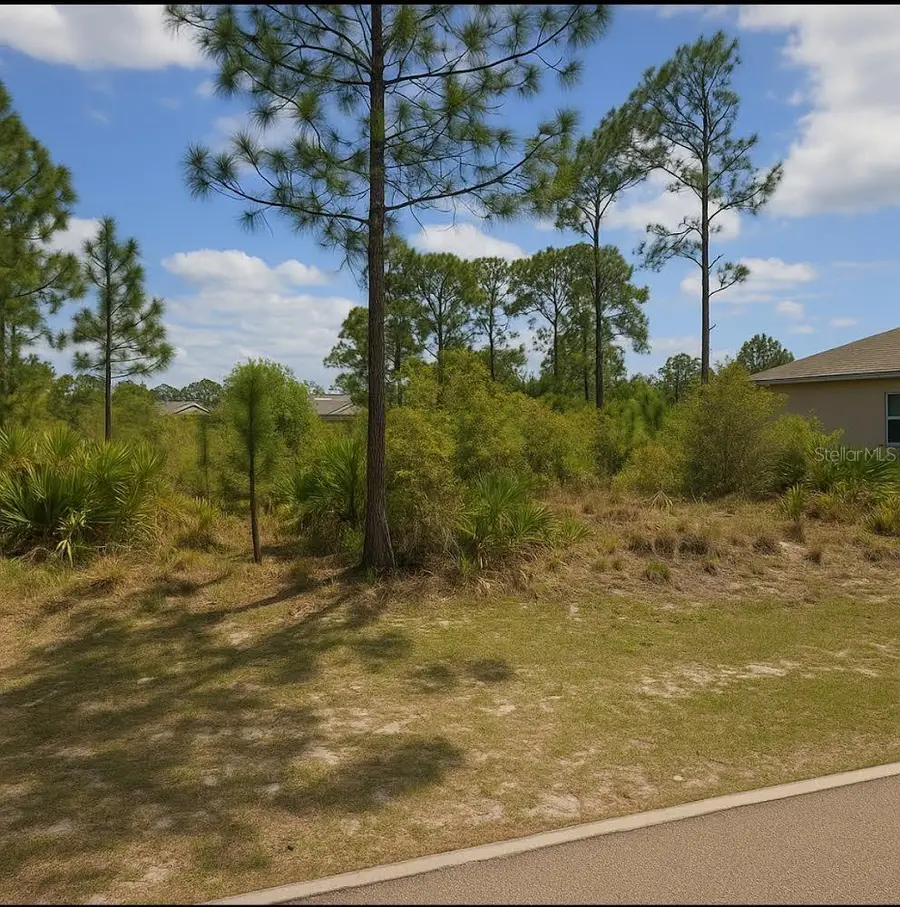 2915 9th Street W, Lehigh Acres, FL 33971 - Image #2