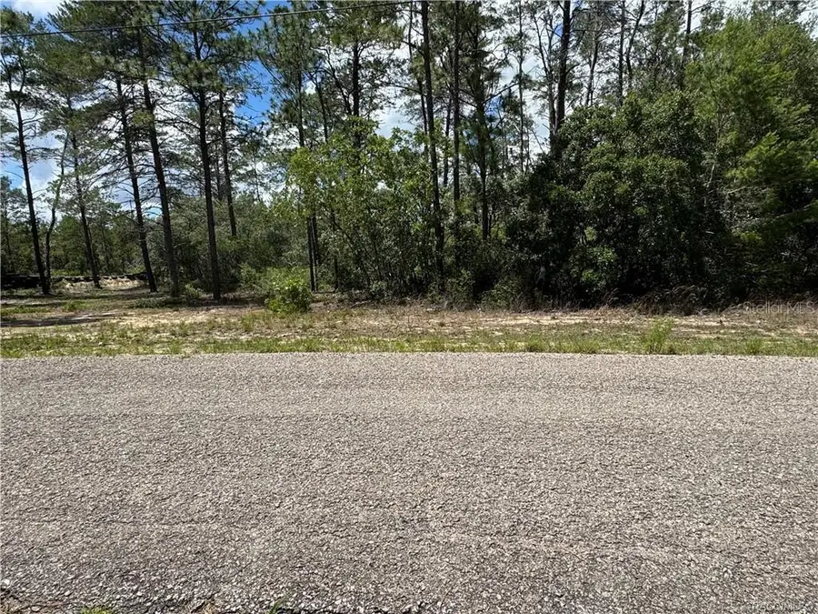 8959 N Farrington Drive, Citrus Springs, FL 34433 - Image #3