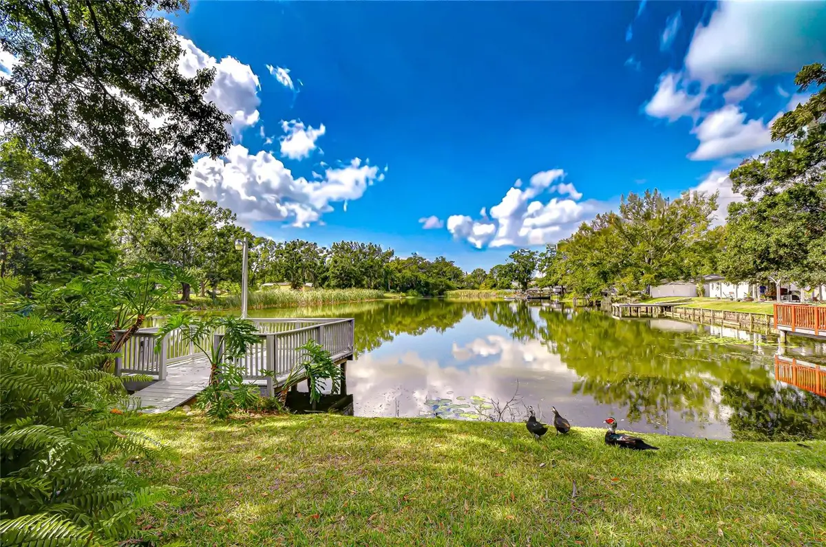 8120 N Albany Avenue, Tampa, FL 33604 - Image #1