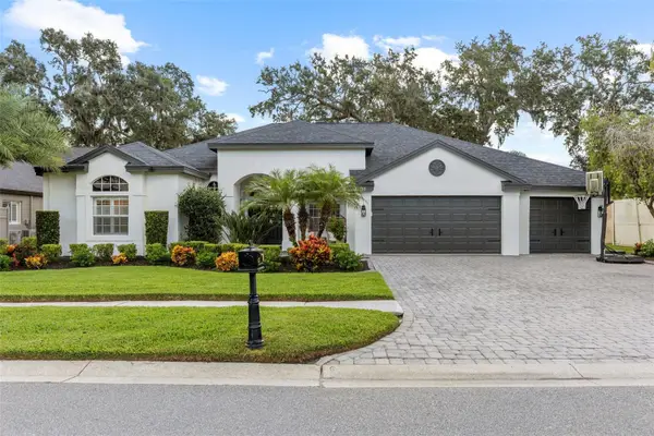 16715 Eagle Oak Drive, ODESSA, FL 33556