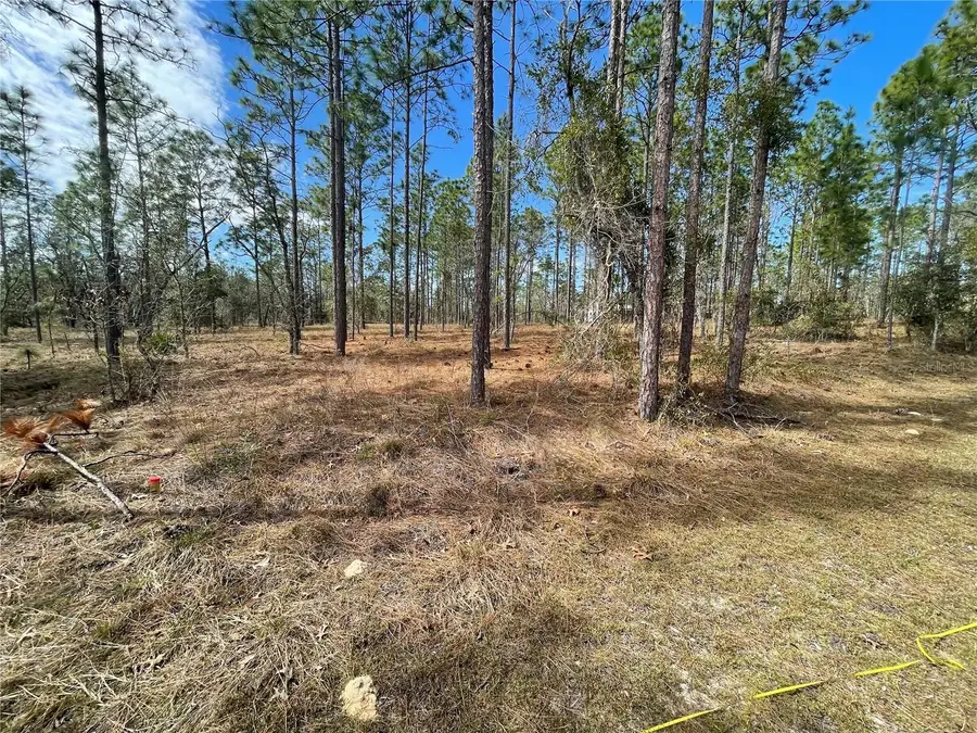 133 Avenue Se Avenue Se, Dunnellon, FL 34431 - Image #2