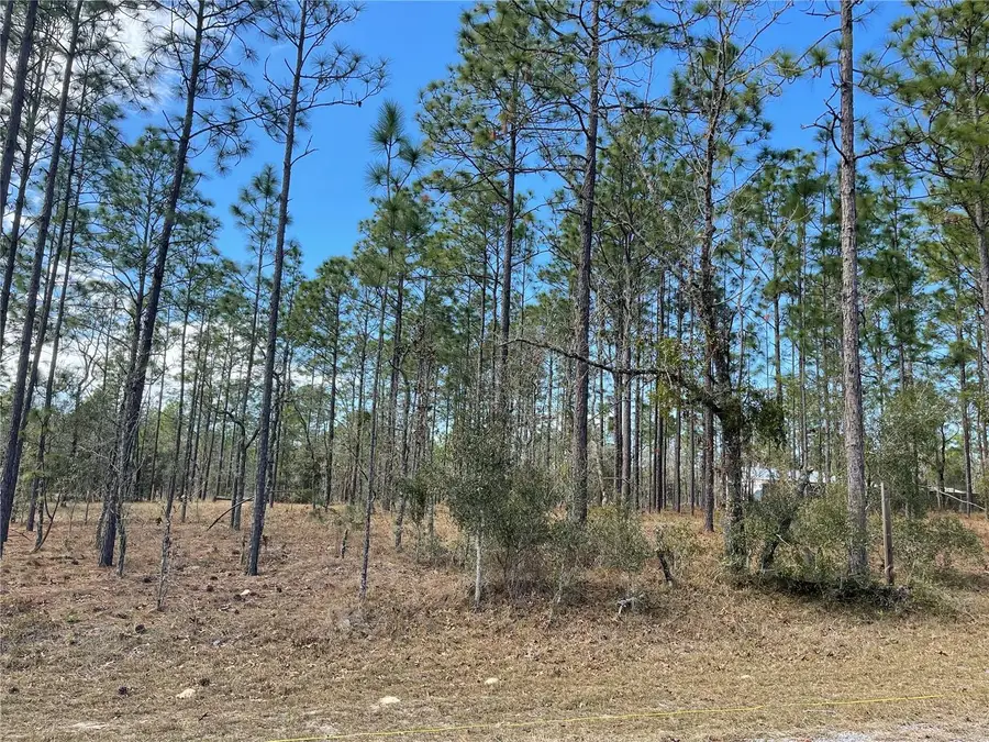 133 Avenue Se Avenue Se, Dunnellon, FL 34431 - Image #3