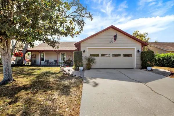 705 Brinton Court, BRANDON, FL 33511