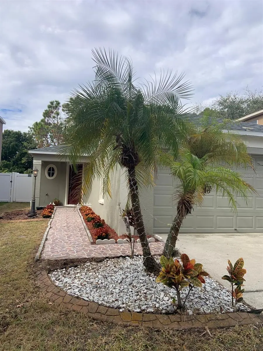 8521 Quarter Horse Drive, Riverview, FL 33578 - Image #2