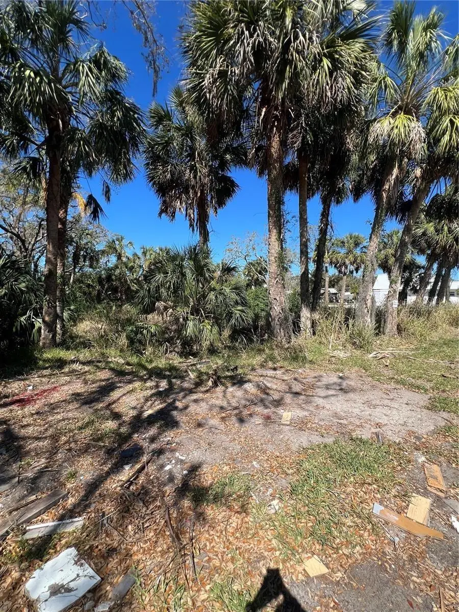 Betty Street, Port Richey, FL 34668 - Image #3