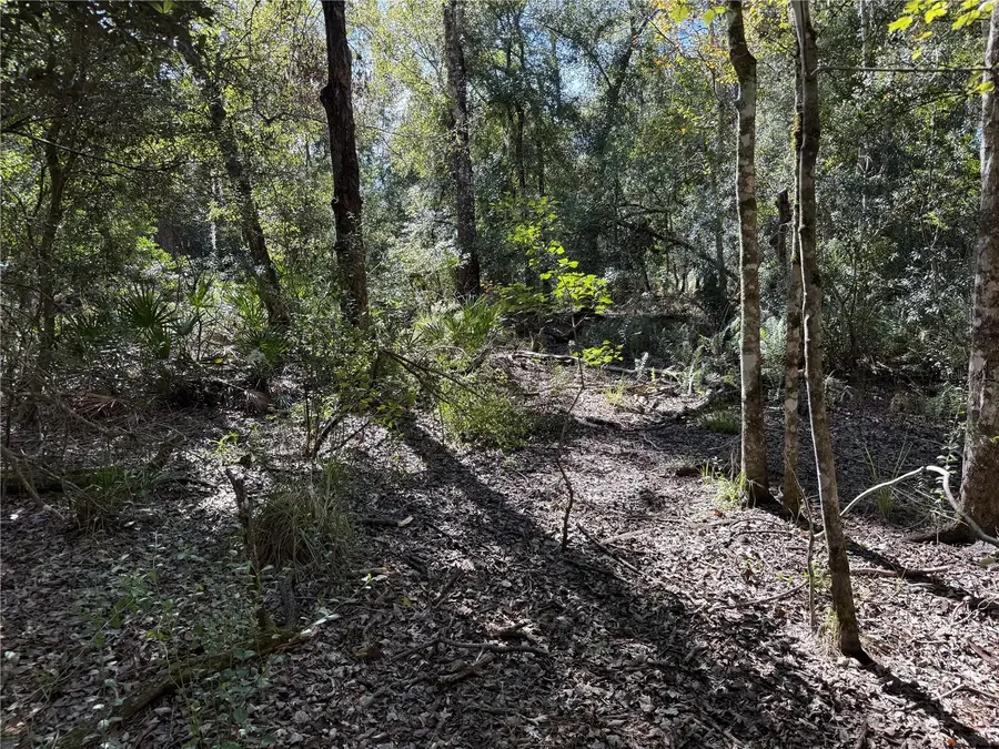 27975 Robin Roost Lane, Wesley Chapel, FL 33544 - Image #3