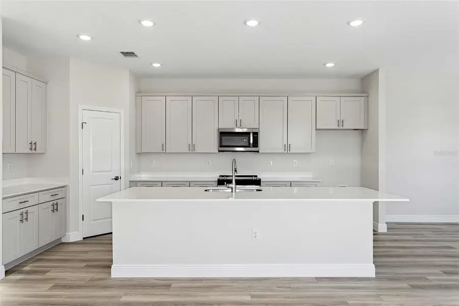 9902 Surrey Rose Drive, San Antonio, FL 33576 - Image #2