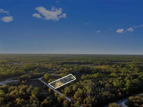 Riverstone Street, WEBSTER, FL 33597