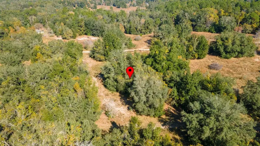 2305 Jefferson Street, Inverness, FL 34453 - Image #3