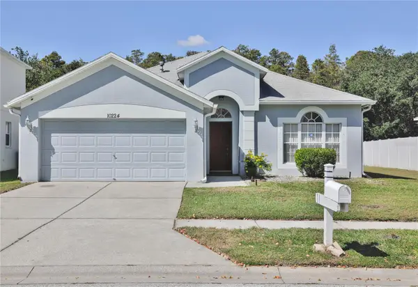 10224 Grant Creek Drive, TAMPA, FL 33647