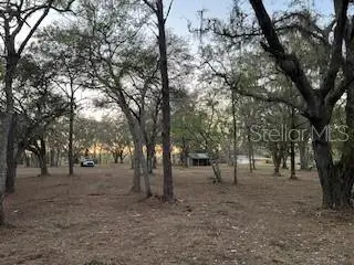 16222 Livingston Avenue, Lutz, FL 33559 - Image #3