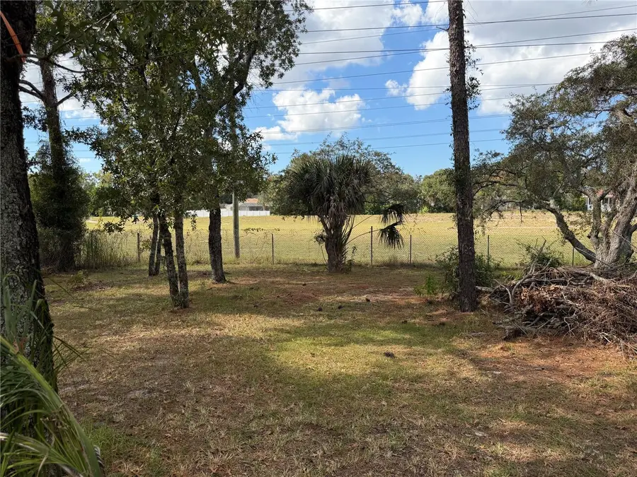 1509 Finland Drive, Spring Hill, FL 34609 - Image #3