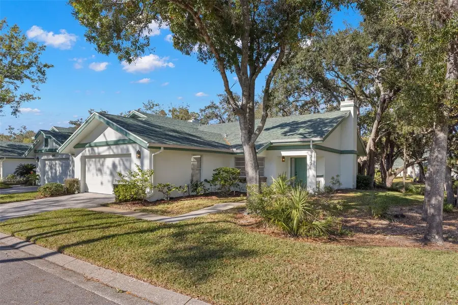 235 Woodridge Circle, Oldsmar, FL 34677 - Image #3