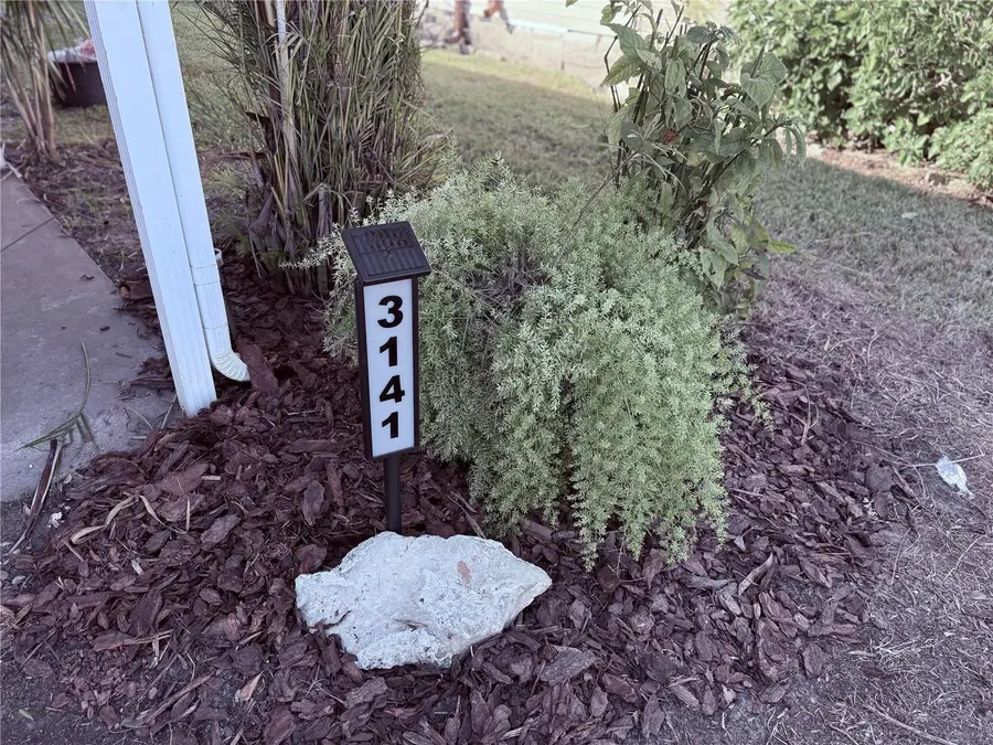 3141 Great Oak St, Wesley Chapel, FL 33543 - Image #3