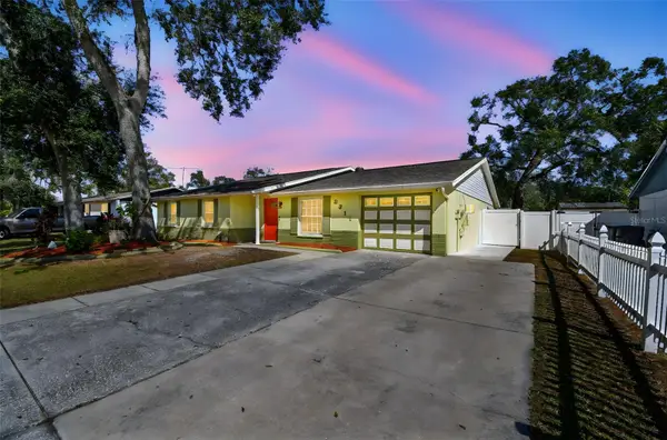 3611 Wisperbreath Lane, TAMPA, FL 33619