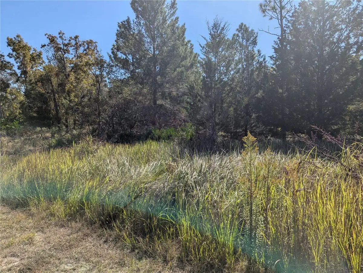 11240 Fool Duck Avenue, Weeki Wachee, FL 34613 - Image #1