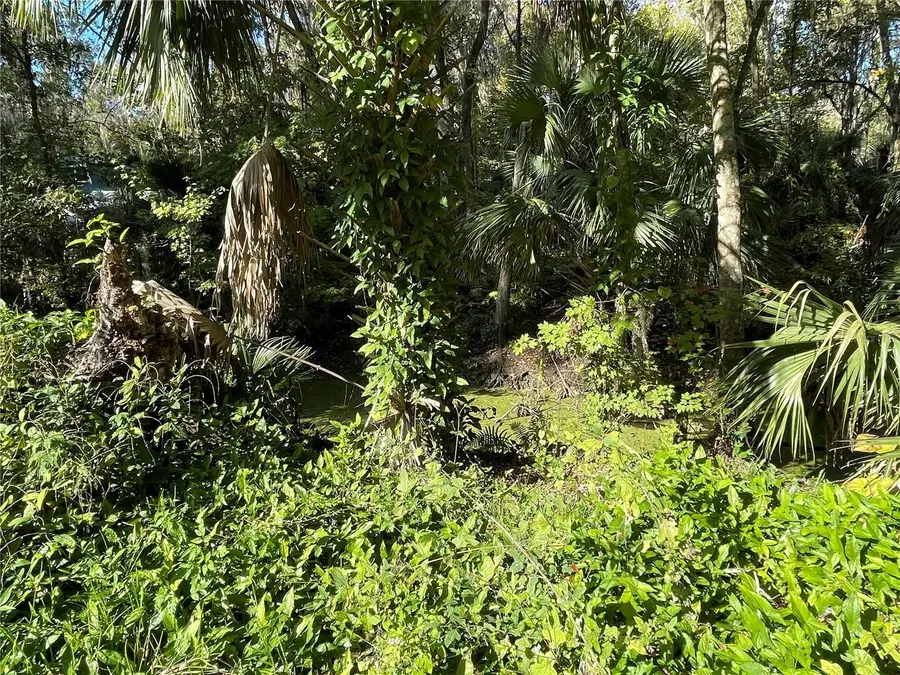 3785 Cr 405n, Lake Panasoffkee, FL 33538 - Image #3