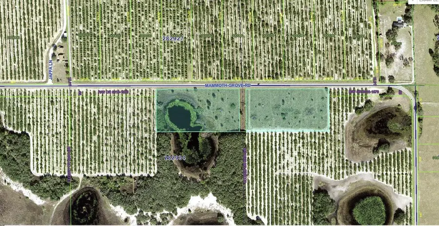 4381 Mammoth Grove Road, Lake Wales, FL 33898 - Image #3