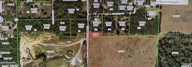 1251 N Maylen Avenue, Lecanto, FL 34461 - Image #3
