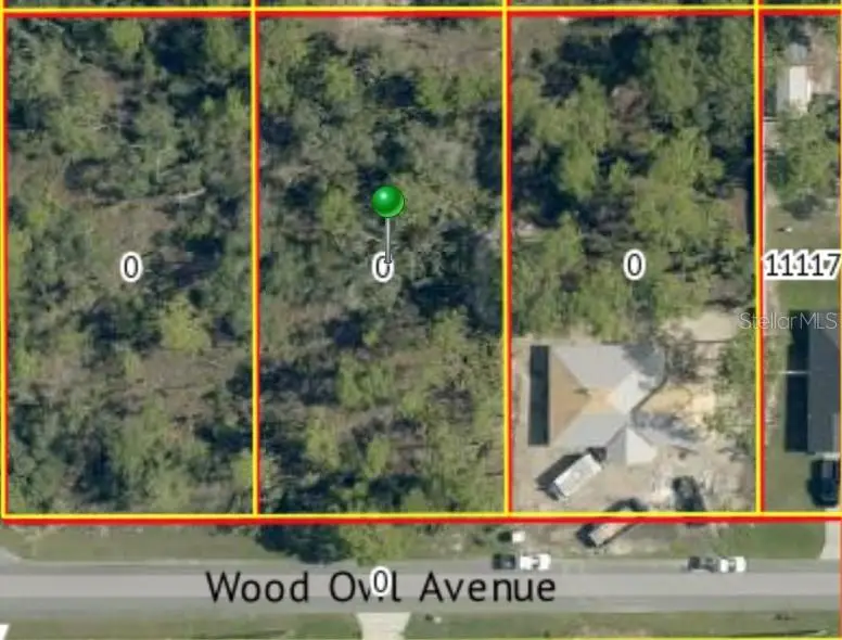 00 Wood Owl Avenue, Weeki Wachee, FL 34614 - Image #1