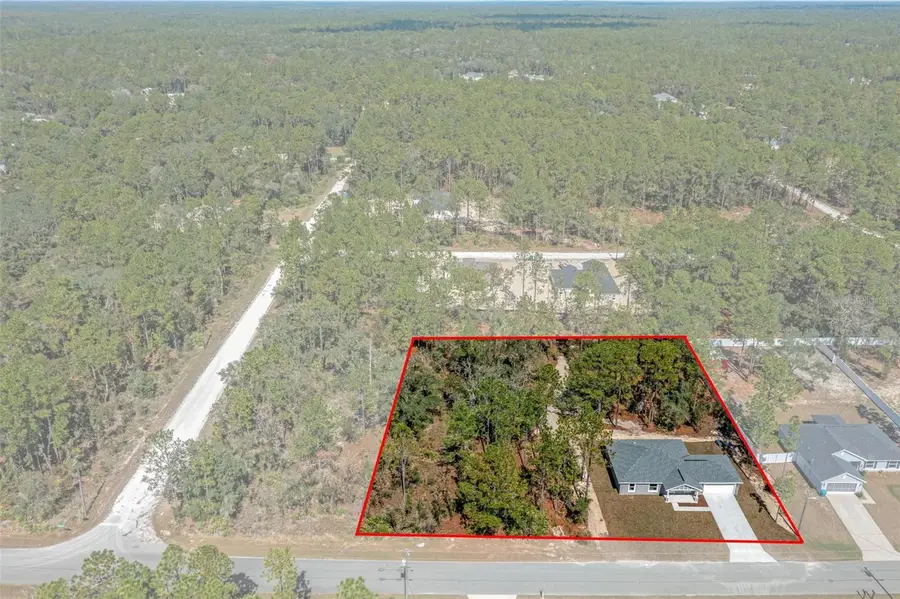 00 Wood Owl Avenue, Weeki Wachee, FL 34614 - Image #2