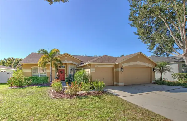 4621 River Close Boulevard, VALRICO, FL 33596