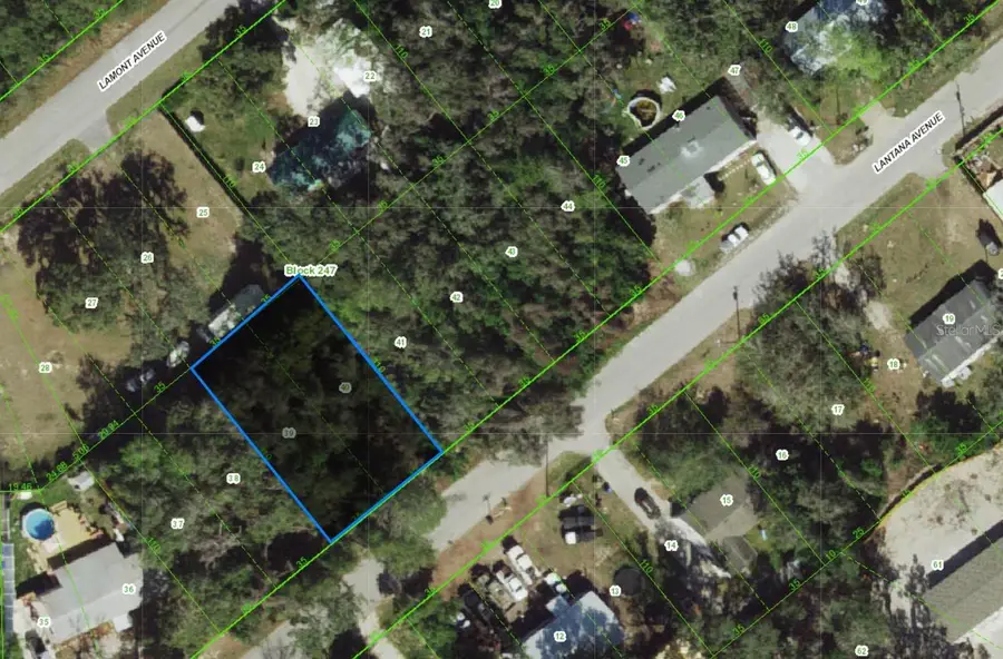 0 Lantana Avenue, New Port Richey, FL 34654 - Image #3