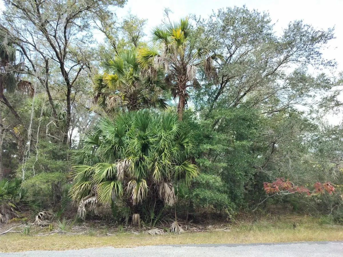 9999 N Snowball Point, Crystal River, FL 34428 - #1