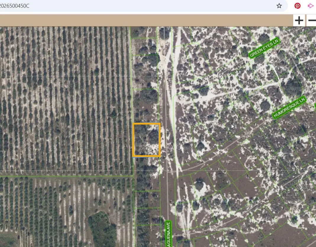 725 Malaguena Avenue, Lake Placid, FL 33852 - Image #1