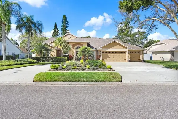 16906 Equestrian Trail, ODESSA, FL 33556