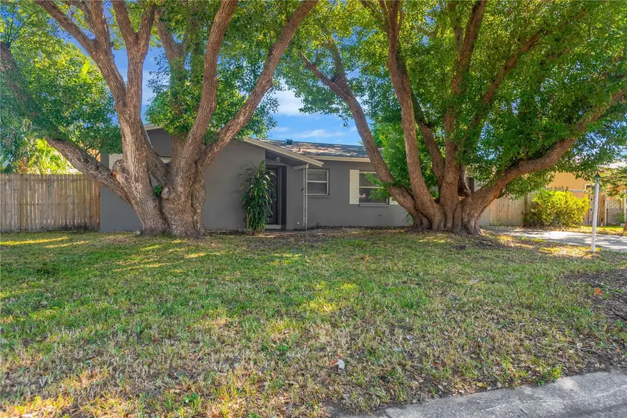 29741 66th Way N, Clearwater, FL 33761 - Image #2