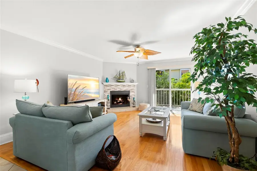 391 Madeira Circle, Tierra Verde, FL 33715 - Image #3