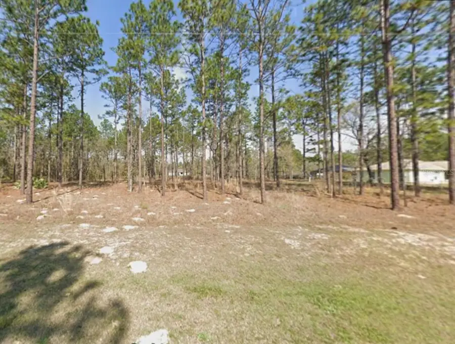 SW 62nd Street, Ocala, FL 34481 - Image #2