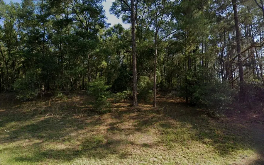 9273 N Athenia Drive, Dunnellon, FL 34434 - Image #2