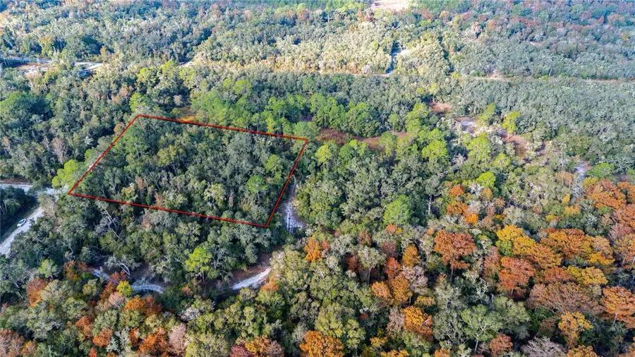 0 Rose Bloom Lot 5 Avenue, Webster, FL 33597 - Image #2