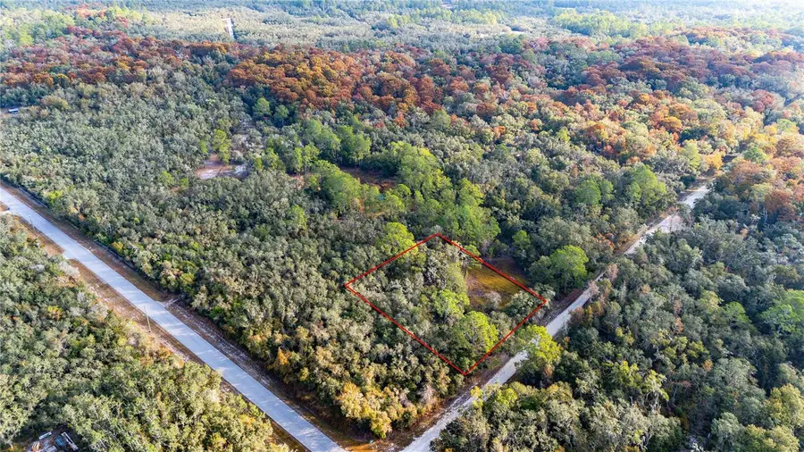 0 Rose Bloom Lot 7 Avenue, Webster, FL 33597 - Image #3