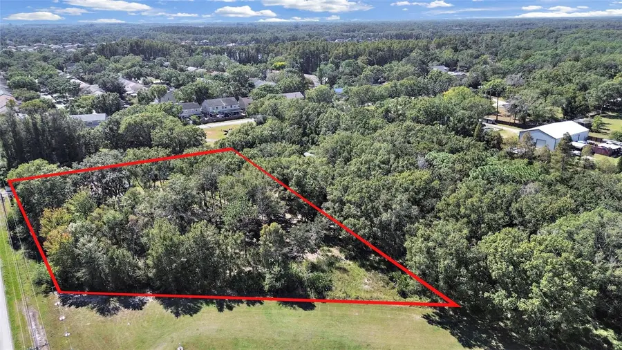 16906 Lakeshore Road, Lutz, FL 33558 - Image #3