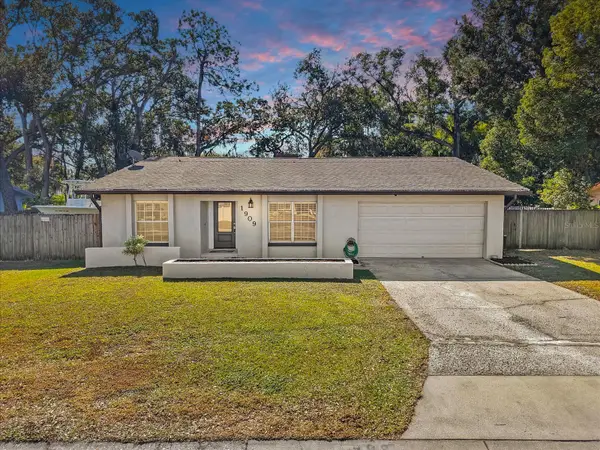 1909 Dove Field Place, BRANDON, FL 33510