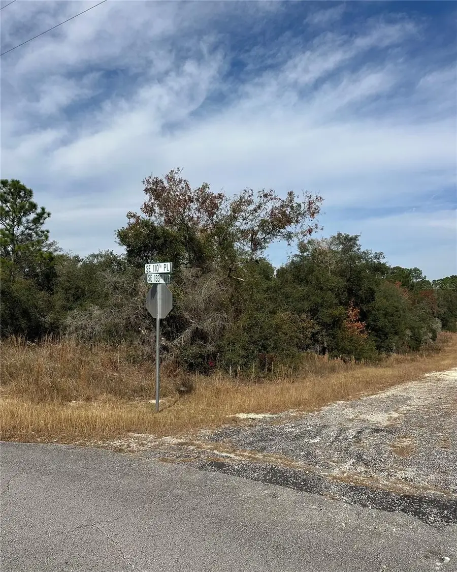 Lot 26 SE 133rd Avenue, Dunnellon, FL 34434 - Image #2