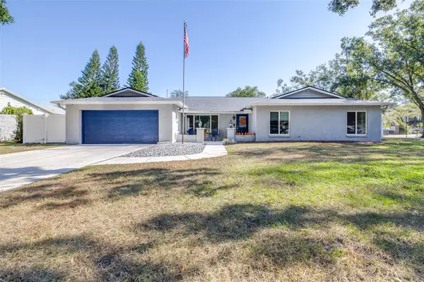 15401 Woodcastle Place, TAMPA, FL 33613