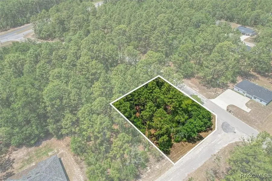 9410 N Peachtree Way, Citrus Springs, FL 34434 - Image #2